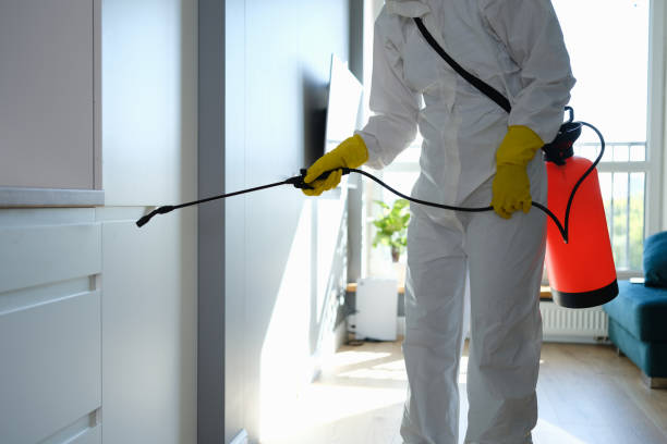 Office Mold Removal Services in Arlington, GA